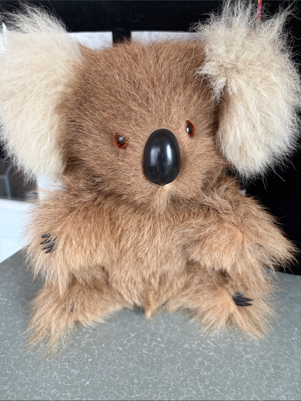 Adorable Fuzzy Koala Bear